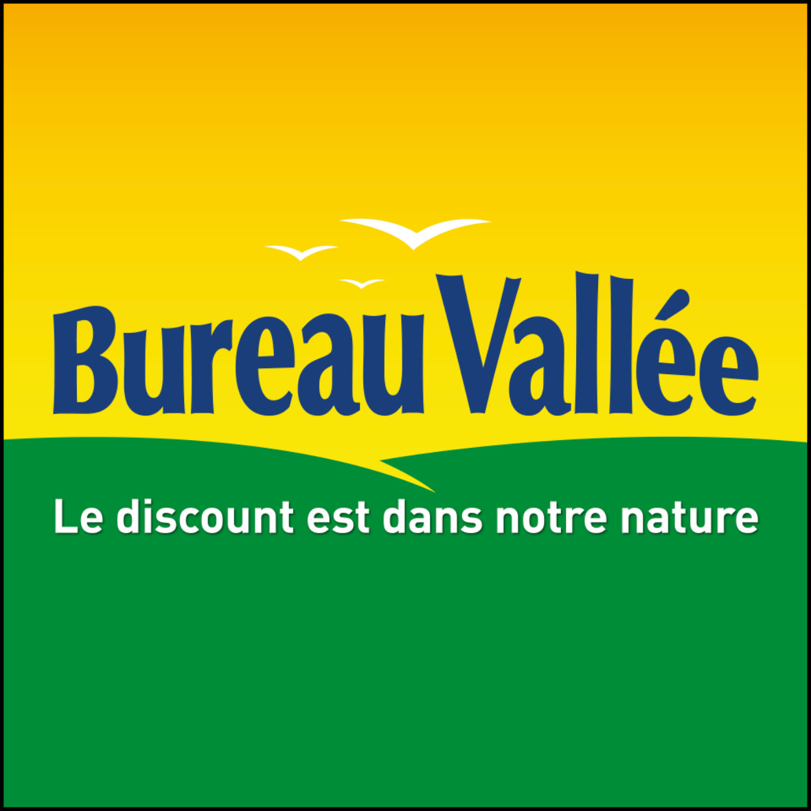 logo bureau vallée