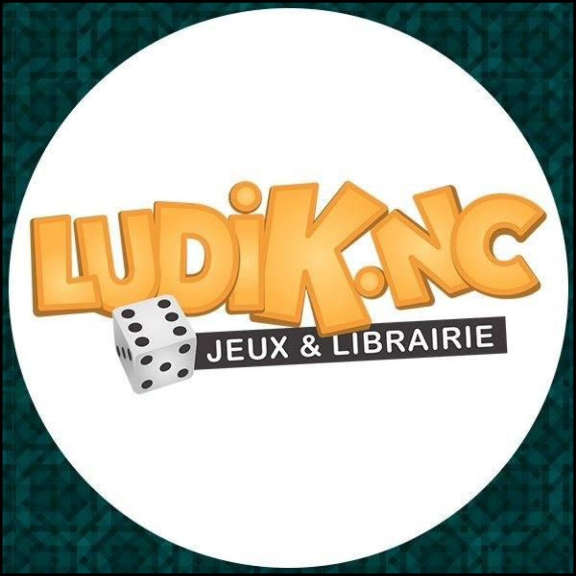 logo ludik nc