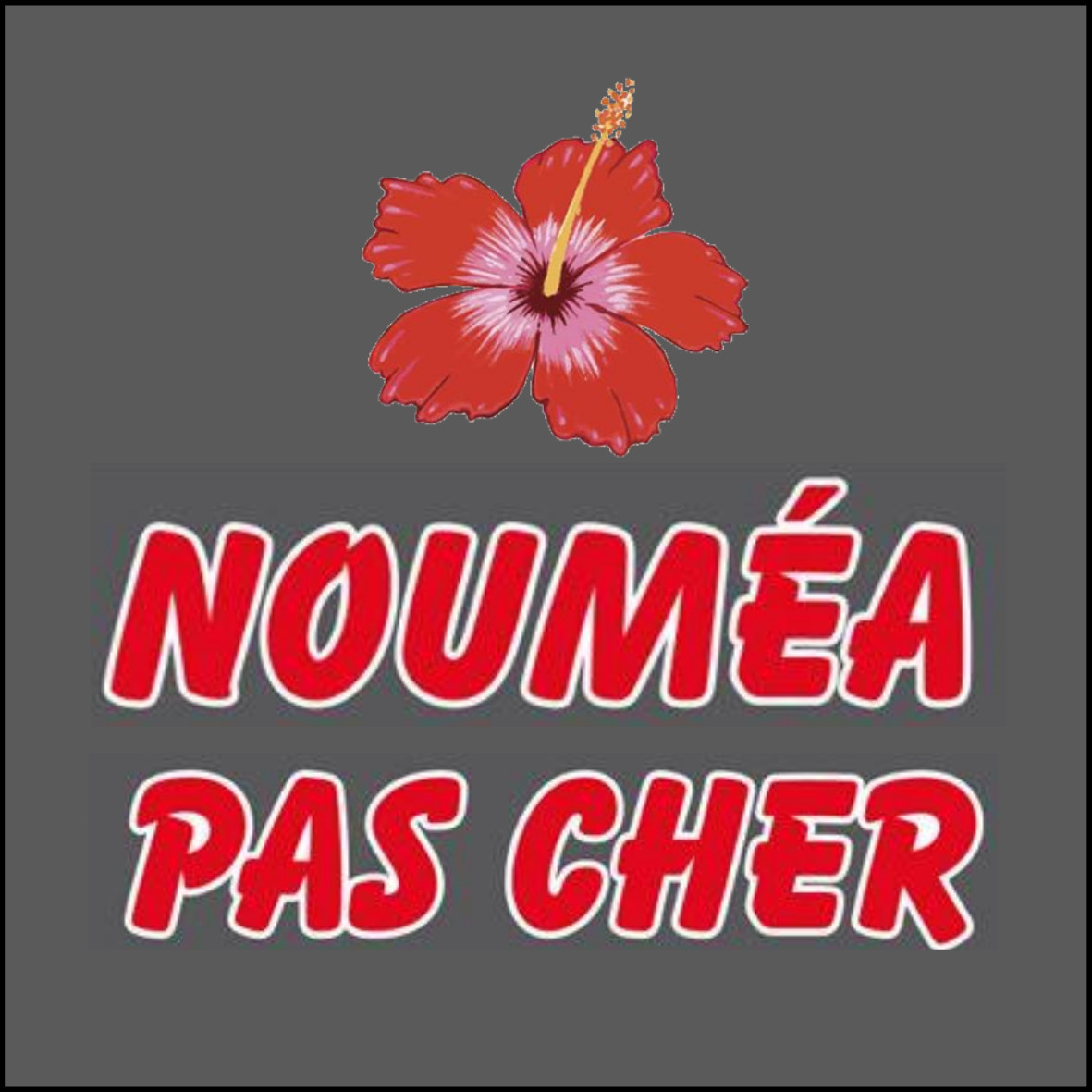 logo noumea pas cher