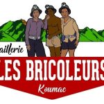 Logo Bricoleurs (002)