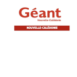LOGO GÉANT
